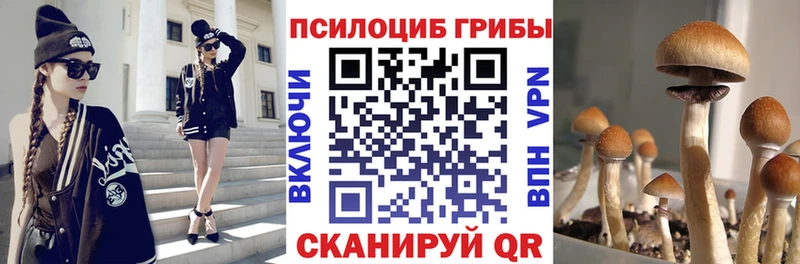 Псилоцибиновые грибы мухоморы Заринск